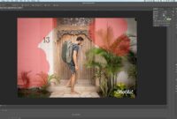 Photoshop vs. Lightroom Which One Should You Use? A Guide Photoshop vs. Lightroom Which One Should You Use? A Guide