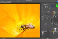 Photoshop 2025 New Features and What You Need to Know Photoshop 2025 New Features and What You Need to Know