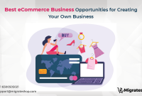 Best Business Opportunities in E-Commerce Unleashed Best Business Opportunities in E-Commerce Unleashed